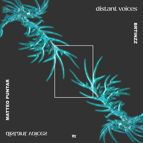 Matteo Puntar & Brtinzz - Distant Voices [PHOBIQ0305D]